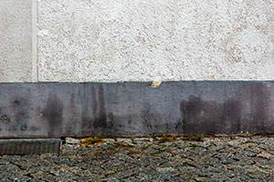 Feuchteschaden Wand in Plauen