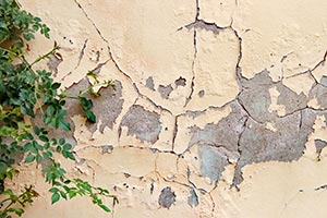 Stadtroda: Feuchte Hauswand
