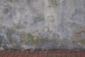 Feuchtigkeitsschaden am Mauerwerk in Neustadt-Glewe