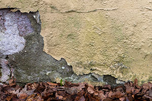 Leinefelde-Worbis: Feuchte Mauern am Haus