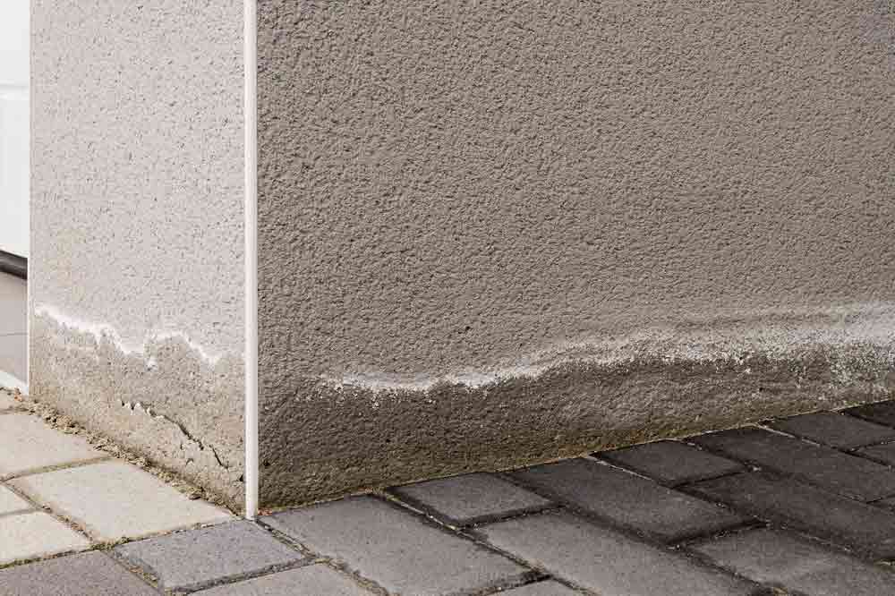 Ist Salpeter am Mauerwerk gefährlich? Ratgeber Salzausblühungen