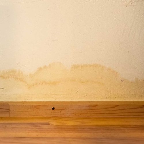 Feuchtigkeit im WandBodenBereich ATG Mauertrockenlegung und Kellerabdichtung ATG