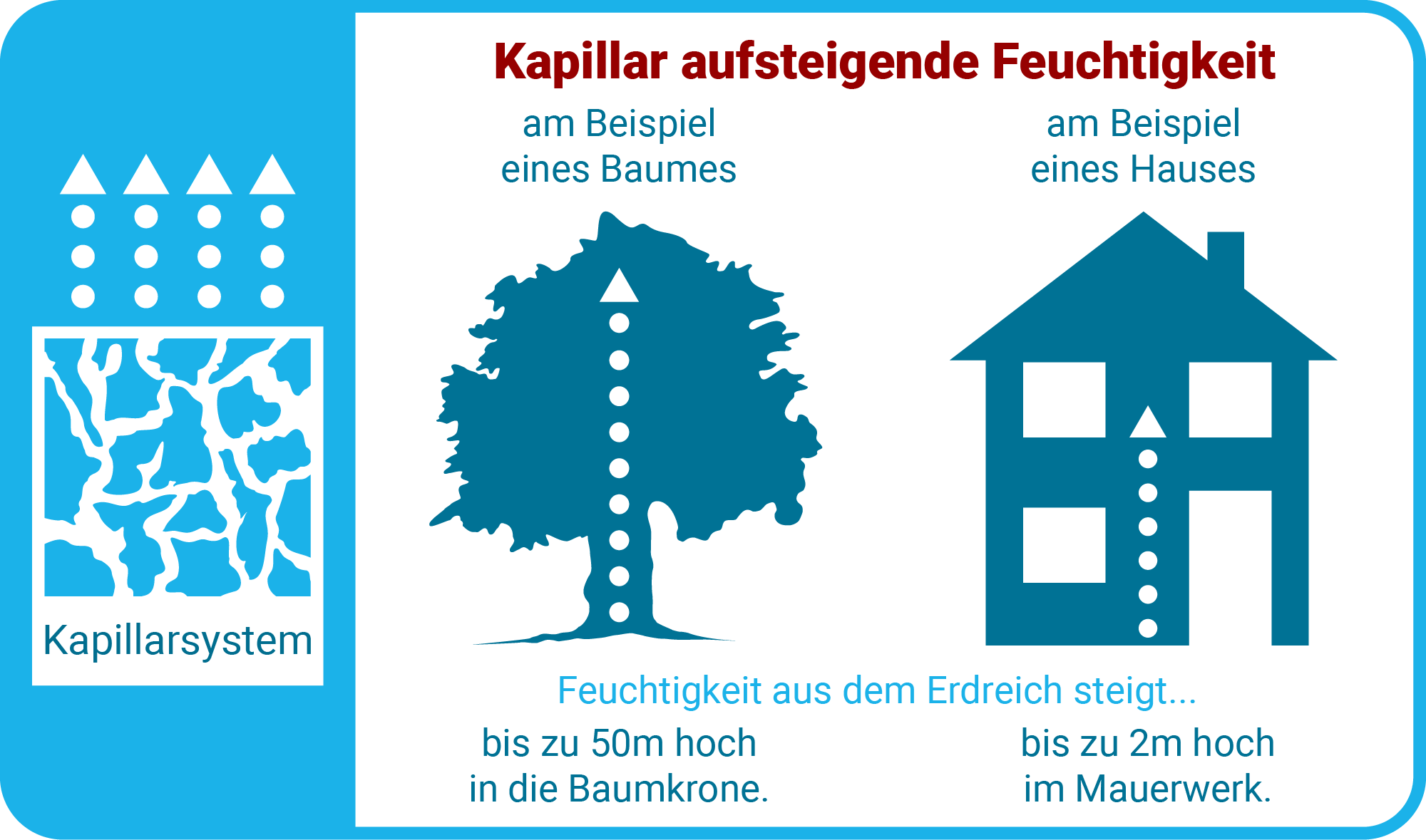 Aufsteigende Feuchtigkeit im Mauerwerk - ATG® Ratgeber