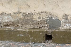 Schäden an feuchter Wand durch Feuchte aus dem Fundament