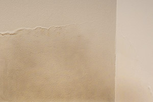Feuchtigkeitsflecken an der Wand