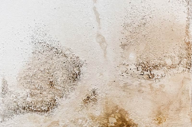 Wie feucht darf eine Wand sein? ATG® Ratgeber Wie feucht darf eine Wand sein? ATG® Ratgeber